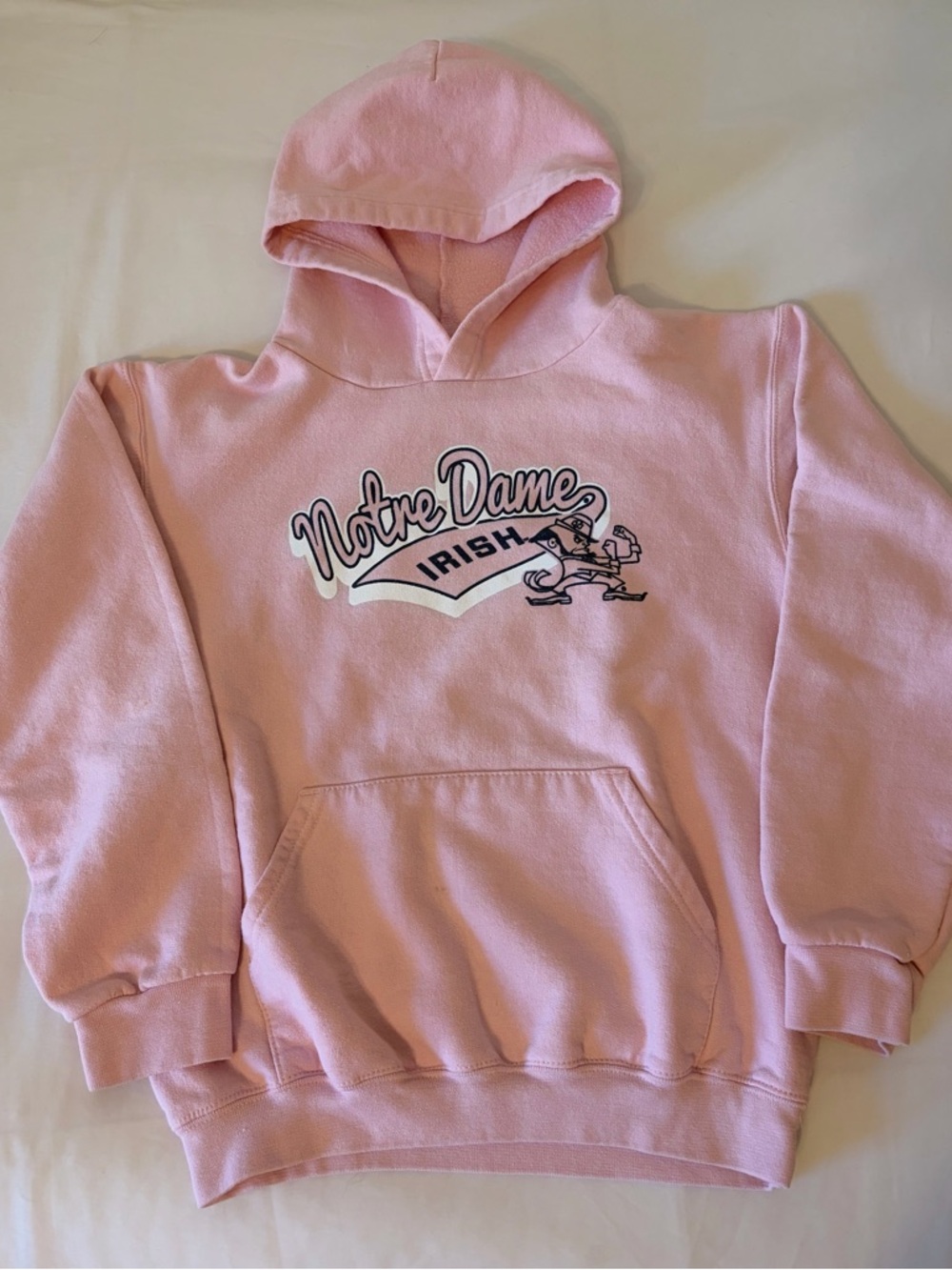 Champion Notre Dame Irish Hoodie